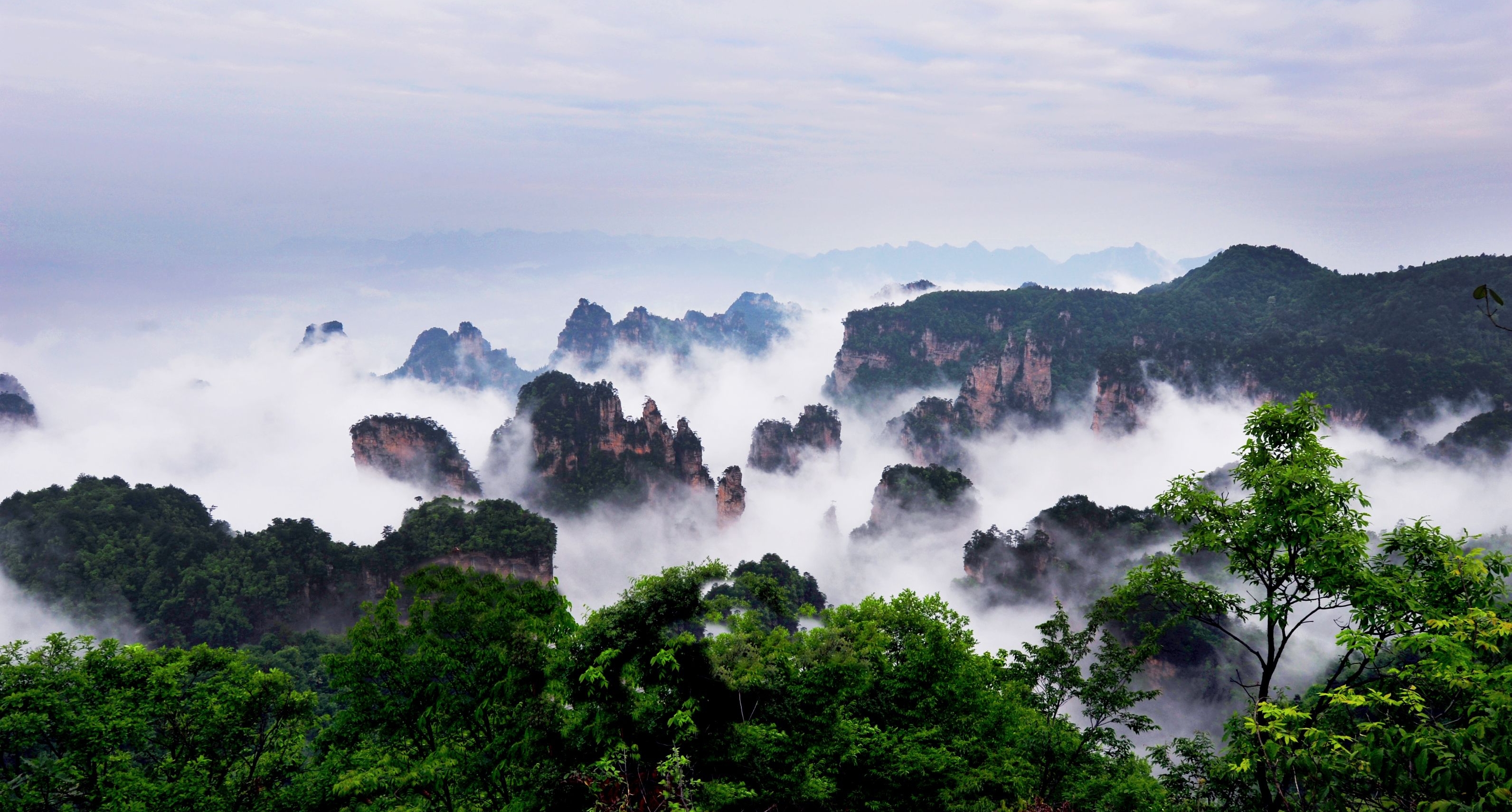 %e5%bc%b5%e5%ae%b6%e7%95%8c